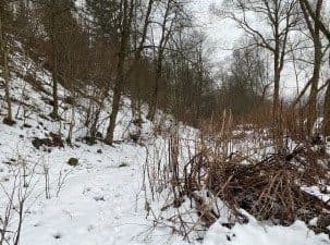 Działki gruntowe w Świnnej – zdjęcie 4 z 7