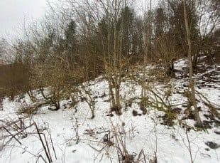 Działki gruntowe w Świnnej – zdjęcie 5 z 7