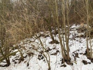 Działki gruntowe w Świnnej – zdjęcie 6 z 7
