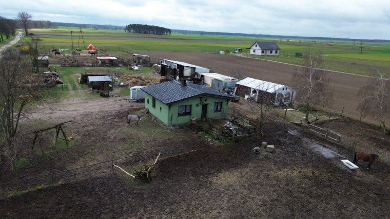 Gościeszyn dom 75m2 + lekka zabudowa gospodarcza (hodowla koni)