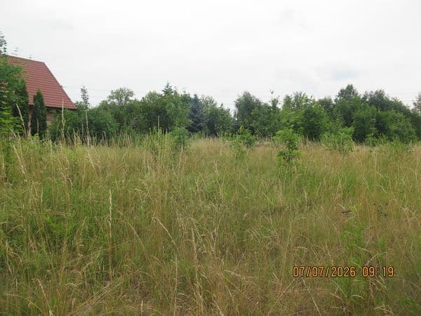 Nieruchomość gruntowa