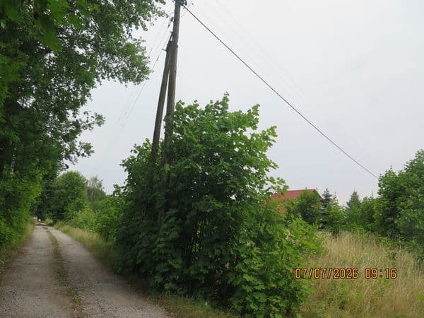 Nieruchomość gruntowa – zdjęcie 4 z 6