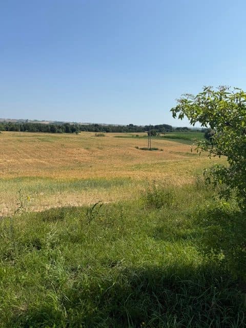 grunty, udział w wymiarze 1/2 części – zdjęcie 2 z 4