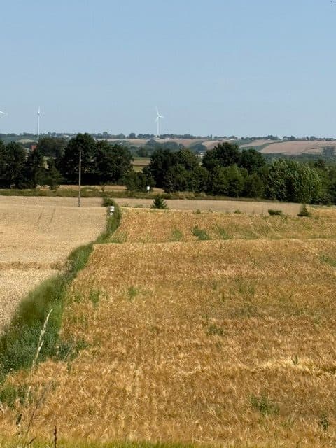 grunty, udział w wymiarze 1/2 części – zdjęcie 4 z 4