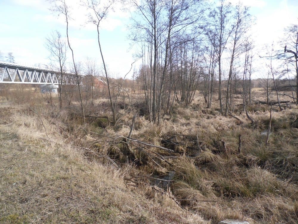 nieruchomość gruntowa – zdjęcie 2 z 2