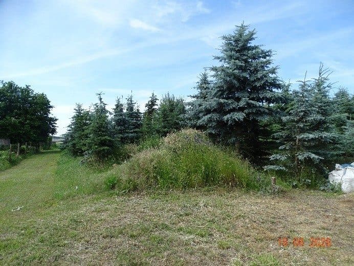 działka nr 33/3