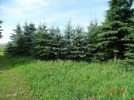 działka nr 33/3 – zdjęcie 3 z 3
