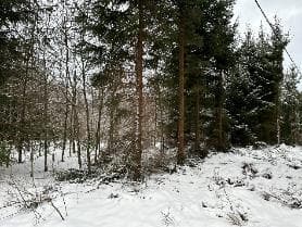 grunty orne – zdjęcie 4 z 8