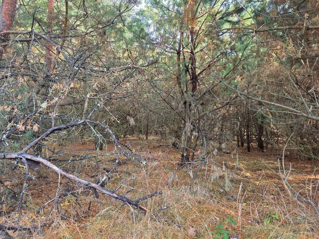 nieruchomość gruntowa – zdjęcie 2 z 6