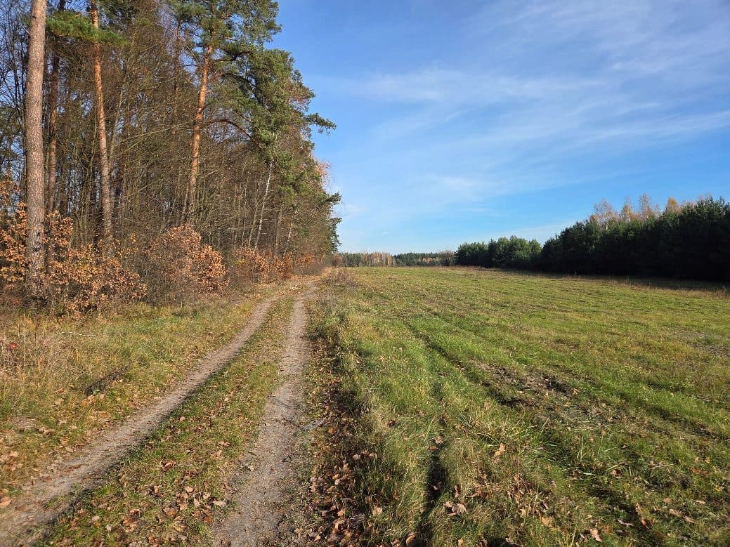 nieruchomość gruntowa – zdjęcie 3 z 6