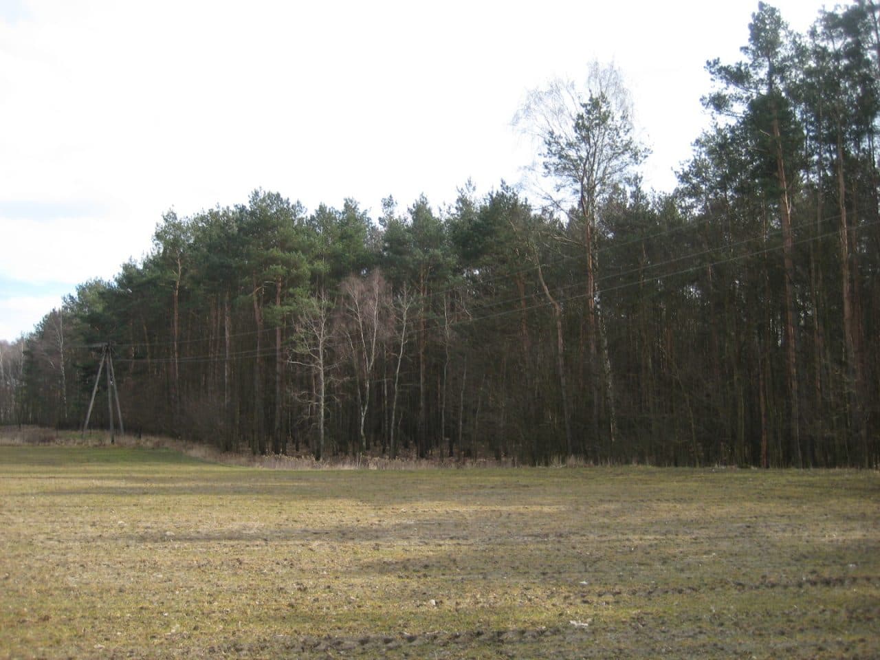 Udział nr 2 i udział nr 3 wynoszące po 1/2 części nieruchomości. – zdjęcie 4 z 6