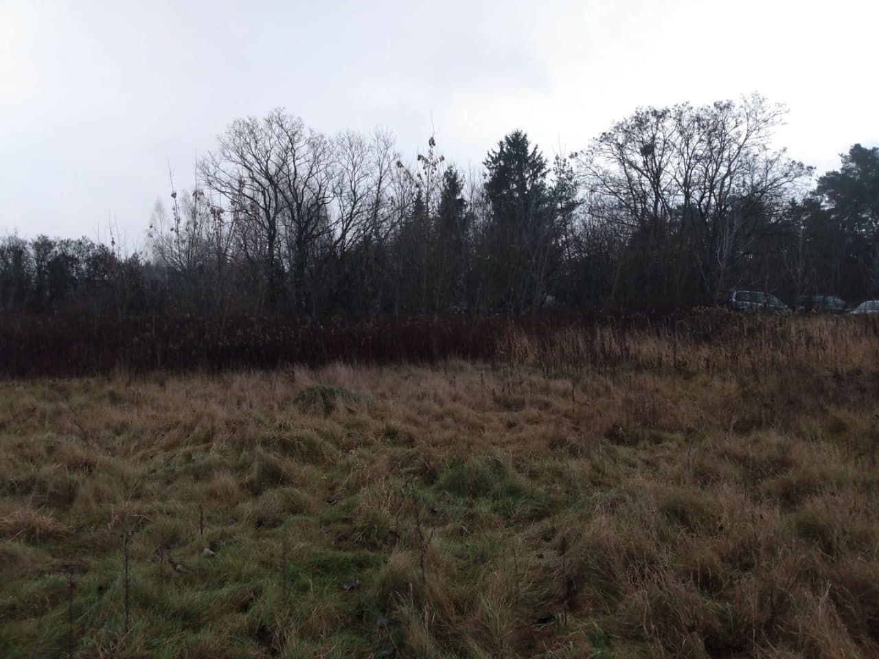nieruchomość gruntowa zabudowana – zdjęcie 2 z 5