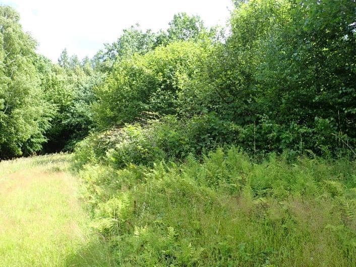 Niezbaudowana działka ew. nr 441