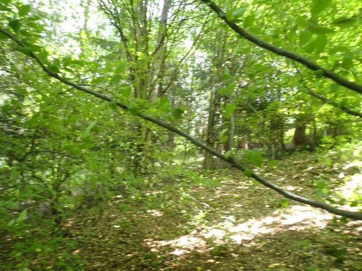 Niezbaudowana działka ew. nr 441 – zdjęcie 3 z 3