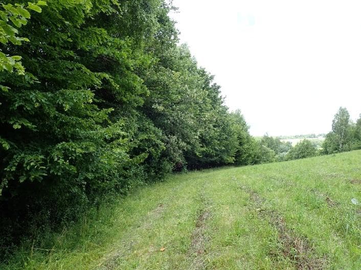Niezbaudowana działka ew. nr 435