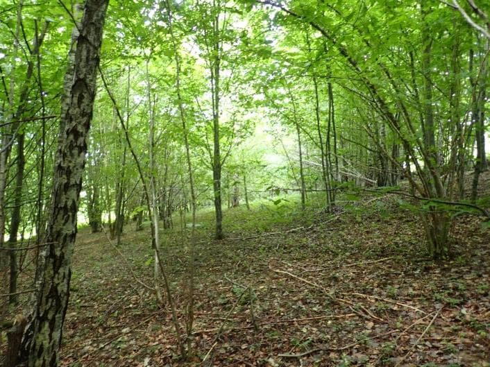 Niezbaudowana działka ew. nr 435 – zdjęcie 2 z 3