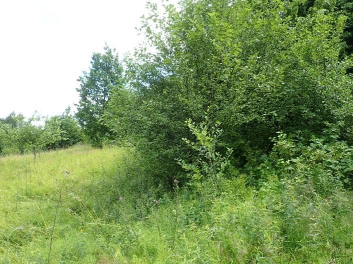 Niezbaudowana działka ew. nr 435 – zdjęcie 3 z 3