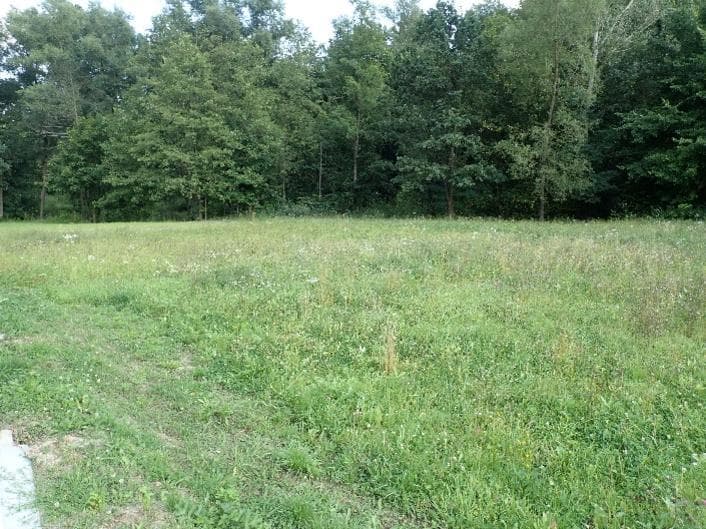 Niezabudowana działka ew. nr 296/2