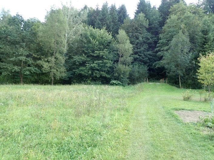 Niezabudowana działka ew. nr 296/2 – zdjęcie 2 z 3
