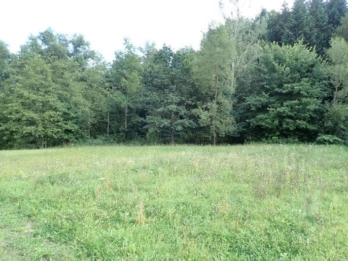 Niezabudowana działka ew. nr 296/2 – zdjęcie 3 z 3