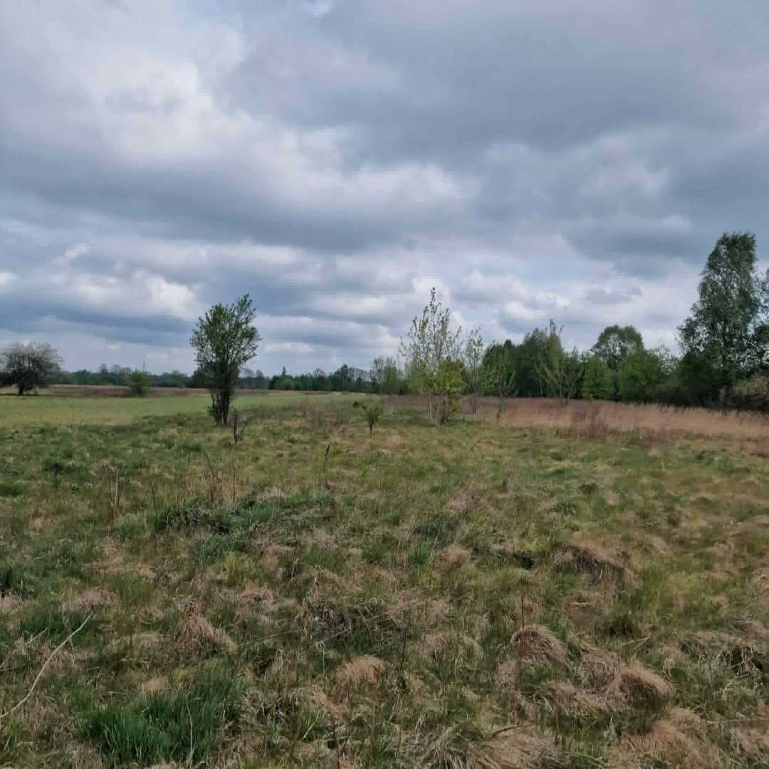 Przedmiotem licytacji jest 1/2 niewydzielona część nieruchomości gruntowej zabudowanej o powierzchni 4 617 m2. – zdjęcie 5 z 10