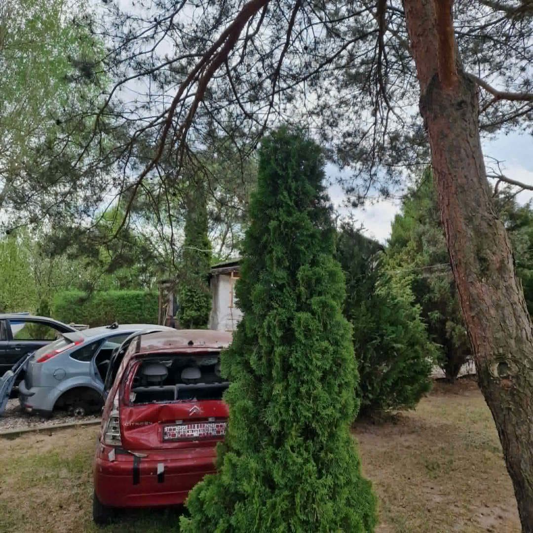 Przedmiotem licytacji jest 1/2 niewydzielona część nieruchomości gruntowej zabudowanej o powierzchni 4 617 m2. – zdjęcie 7 z 10