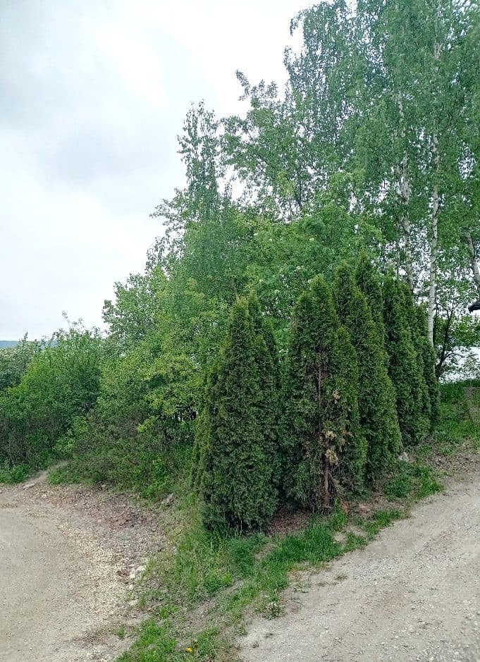 nieruchomość