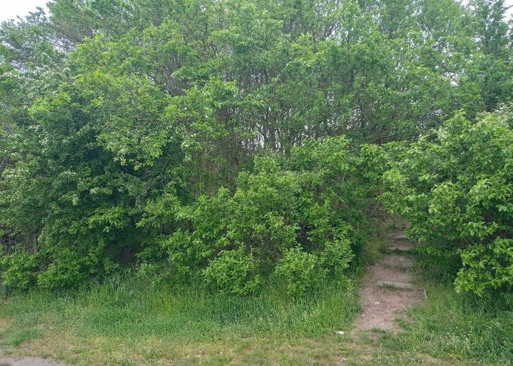nieruchomość – zdjęcie 2 z 2