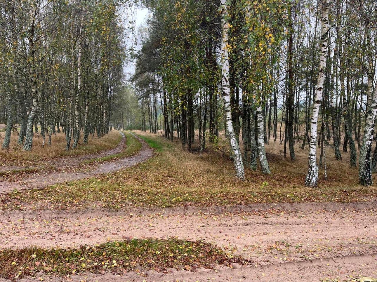 1/2 UDZIAŁU W NIERUCHOMOŚCI POŁOŻONEJ W MIEJSCOWOŚCI TUSZKOWY, GMINA LIPUSZ, POWIAT KOŚCIERSKI, NA DZIAŁKACH NR 182,237,239,432,234,238,354,233/5,233/6,245/1 i 245/2 – zdjęcie 11 z 14