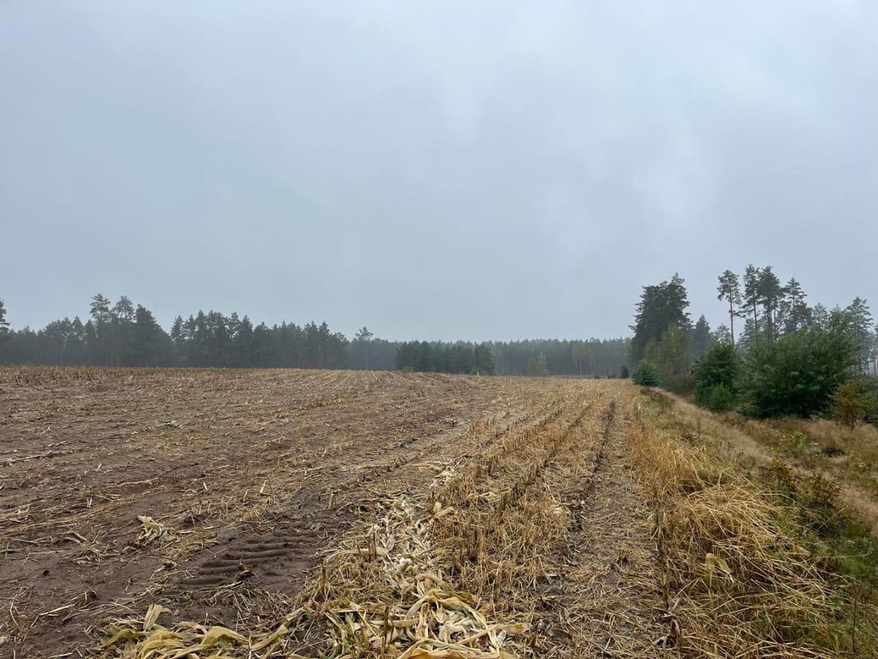 1/2 UDZIAŁU W NIERUCHOMOŚCI POŁOŻONEJ W MIEJSCOWOŚCI TUSZKOWY, GMINA LIPUSZ, POWIAT KOŚCIERSKI, NA DZIAŁKACH NR 182,237,239,432,234,238,354,233/5,233/6,245/1 i 245/2 – zdjęcie 7 z 14