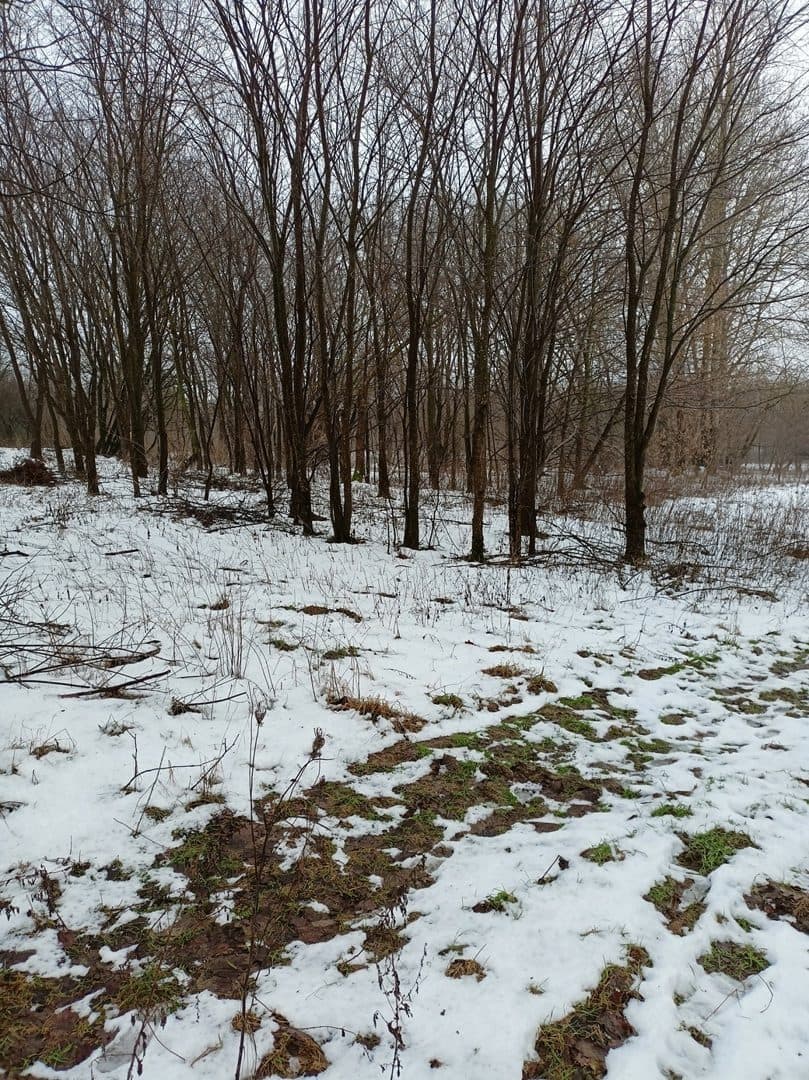 działka 85/6 i 85/7 o pow. 2,8444 ha grunty orne