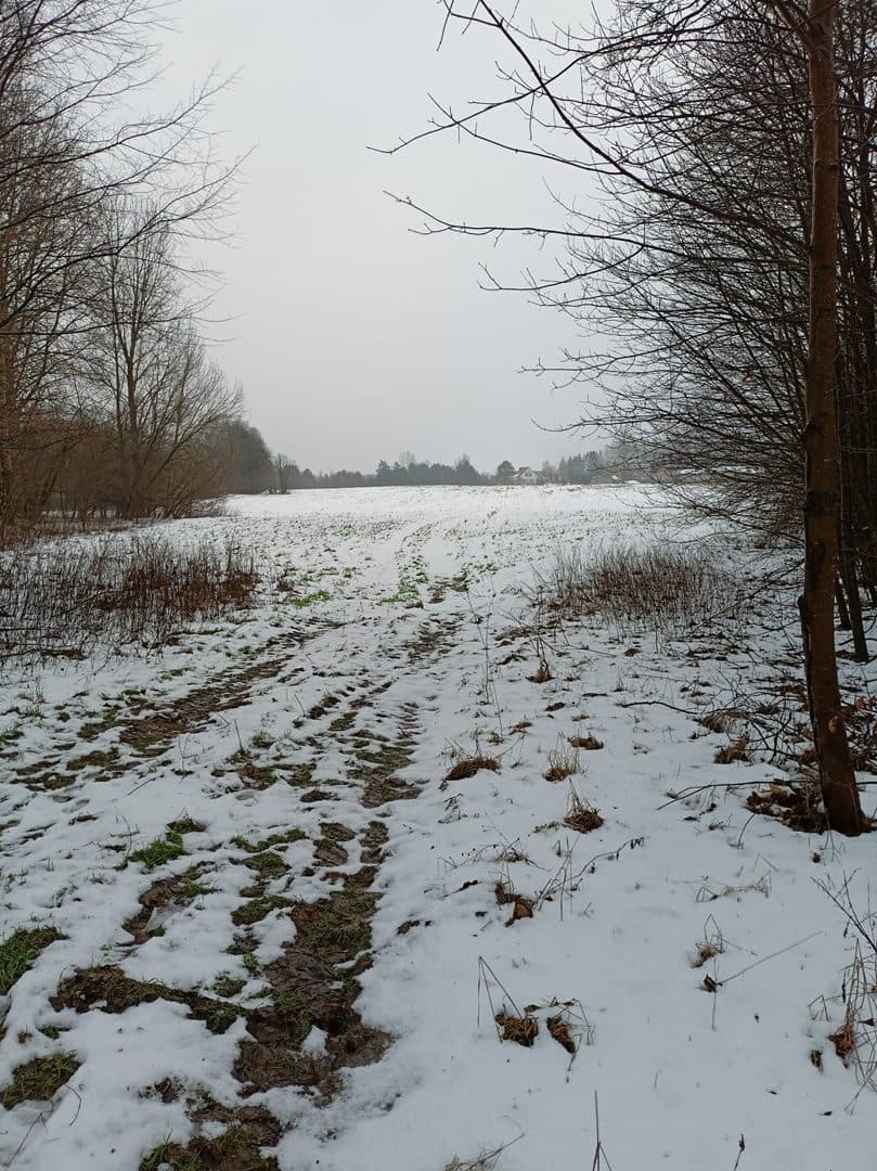 działka 85/6 i 85/7 o pow. 2,8444 ha grunty orne – zdjęcie 3 z 4