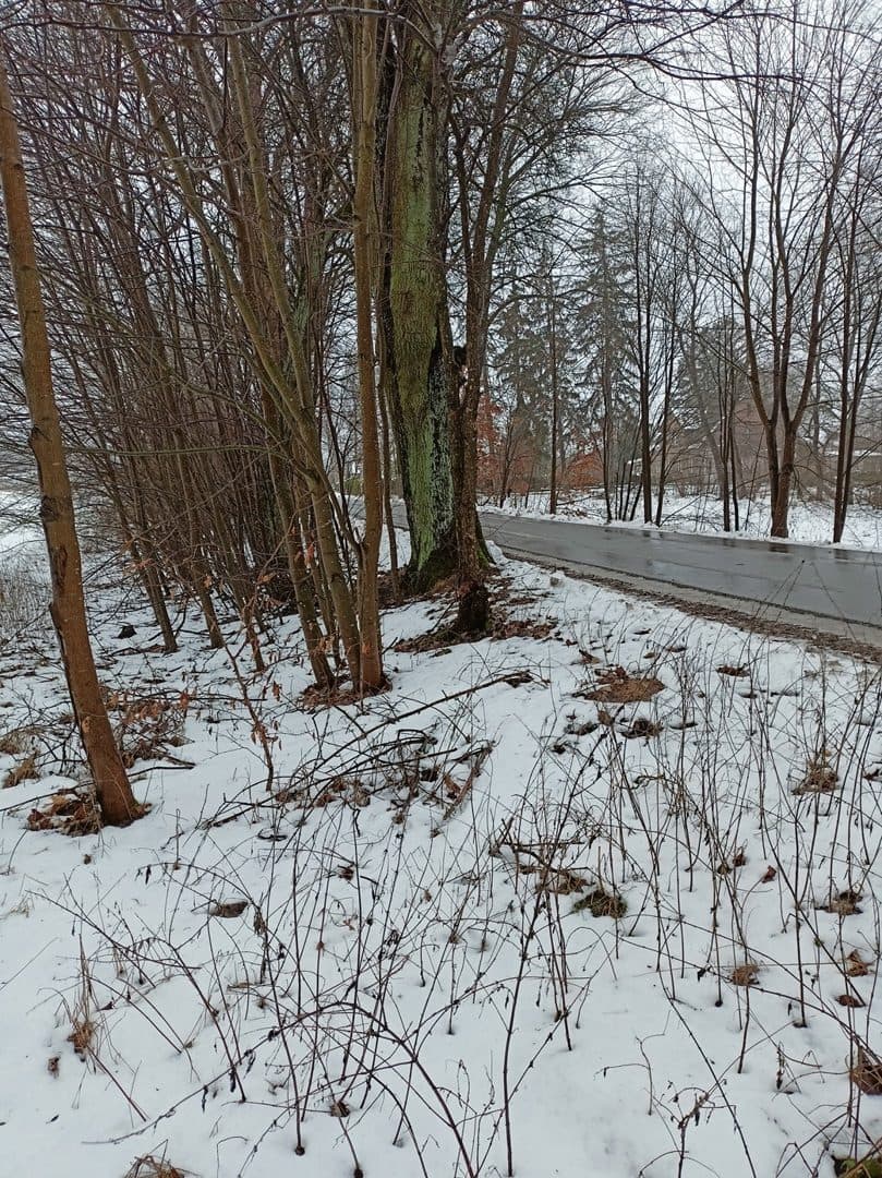 działka 85/6 i 85/7 o pow. 2,8444 ha grunty orne – zdjęcie 4 z 4