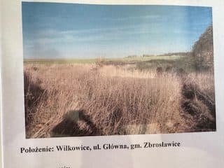 nieruchomość gruntowa - łąki trwałe – zdjęcie 2 z 5