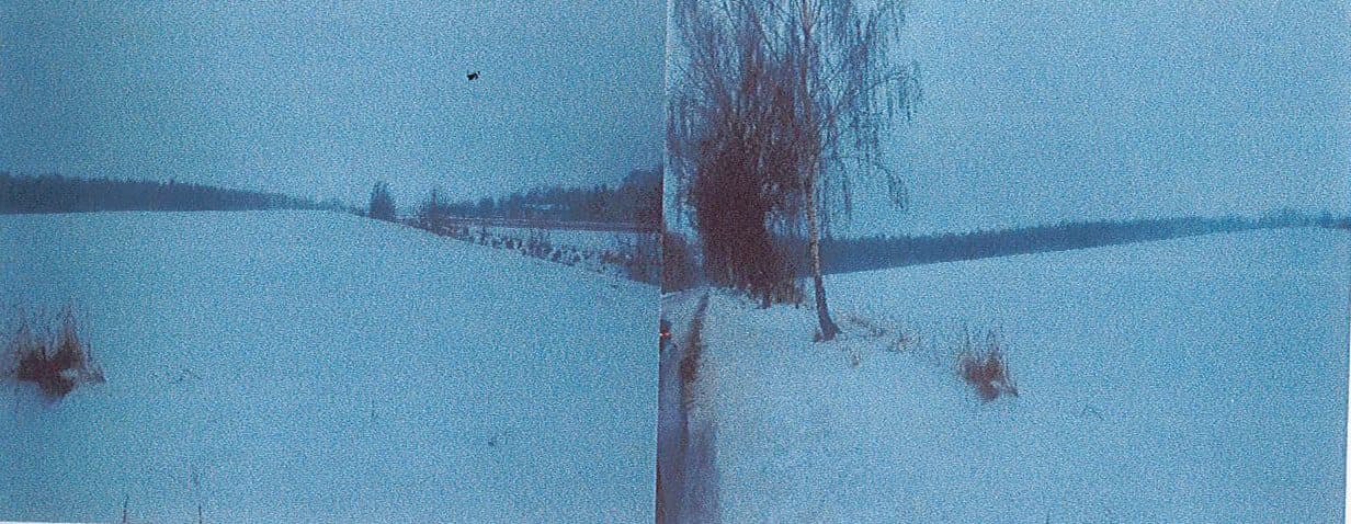 nieruchomość składająca się z działki nr 95/3 o pow.2,2600 ha położona w msc. Zieleniec gm. Milanów dla której Sąd Rejonowy w Radzyniu Podlaskim IV Wydział Ksiąg Wieczystych prowadzi księgę wieczystą o nr KW: LU1R/00012338/1