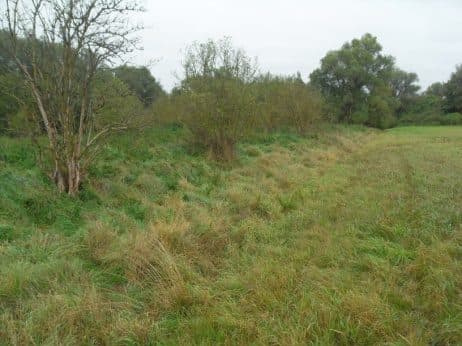 Niezabudowana działka nr 43/4 o pow. 0,2539 ha poł. w Dobrzanach – zdjęcie 13 z 15