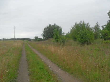 Niezabudowana działka nr 43/4 o pow. 0,2539 ha poł. w Dobrzanach – zdjęcie 14 z 15