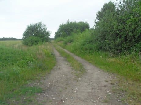 Niezabudowana działka nr 43/4 o pow. 0,2539 ha poł. w Dobrzanach – zdjęcie 2 z 15