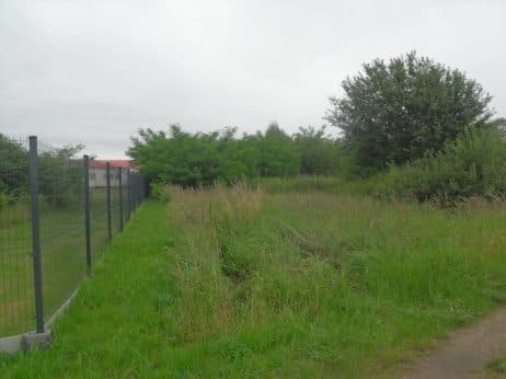 Niezabudowana działka nr 43/4 o pow. 0,2539 ha poł. w Dobrzanach – zdjęcie 3 z 15