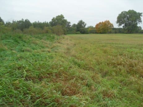 Niezabudowana działka nr 43/4 o pow. 0,2539 ha poł. w Dobrzanach – zdjęcie 5 z 15