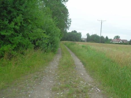 Niezabudowana działka nr 43/4 o pow. 0,2539 ha poł. w Dobrzanach – zdjęcie 6 z 15