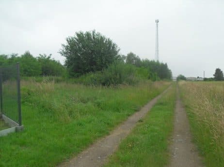 Niezabudowana działka nr 43/4 o pow. 0,2539 ha poł. w Dobrzanach – zdjęcie 7 z 15