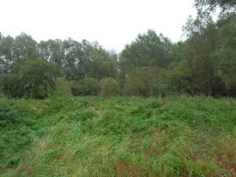 Niezabudowana działka nr 43/4 o pow. 0,2539 ha poł. w Dobrzanach – zdjęcie 8 z 15