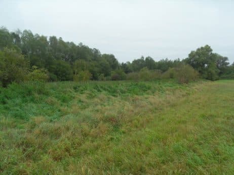 Niezabudowana działka nr 43/4 o pow. 0,2539 ha poł. w Dobrzanach – zdjęcie 9 z 15