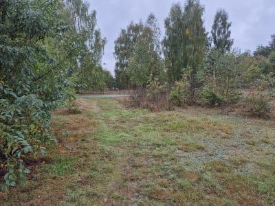Nieruchomość gruntowa niezabudowana – zdjęcie 2 z 3