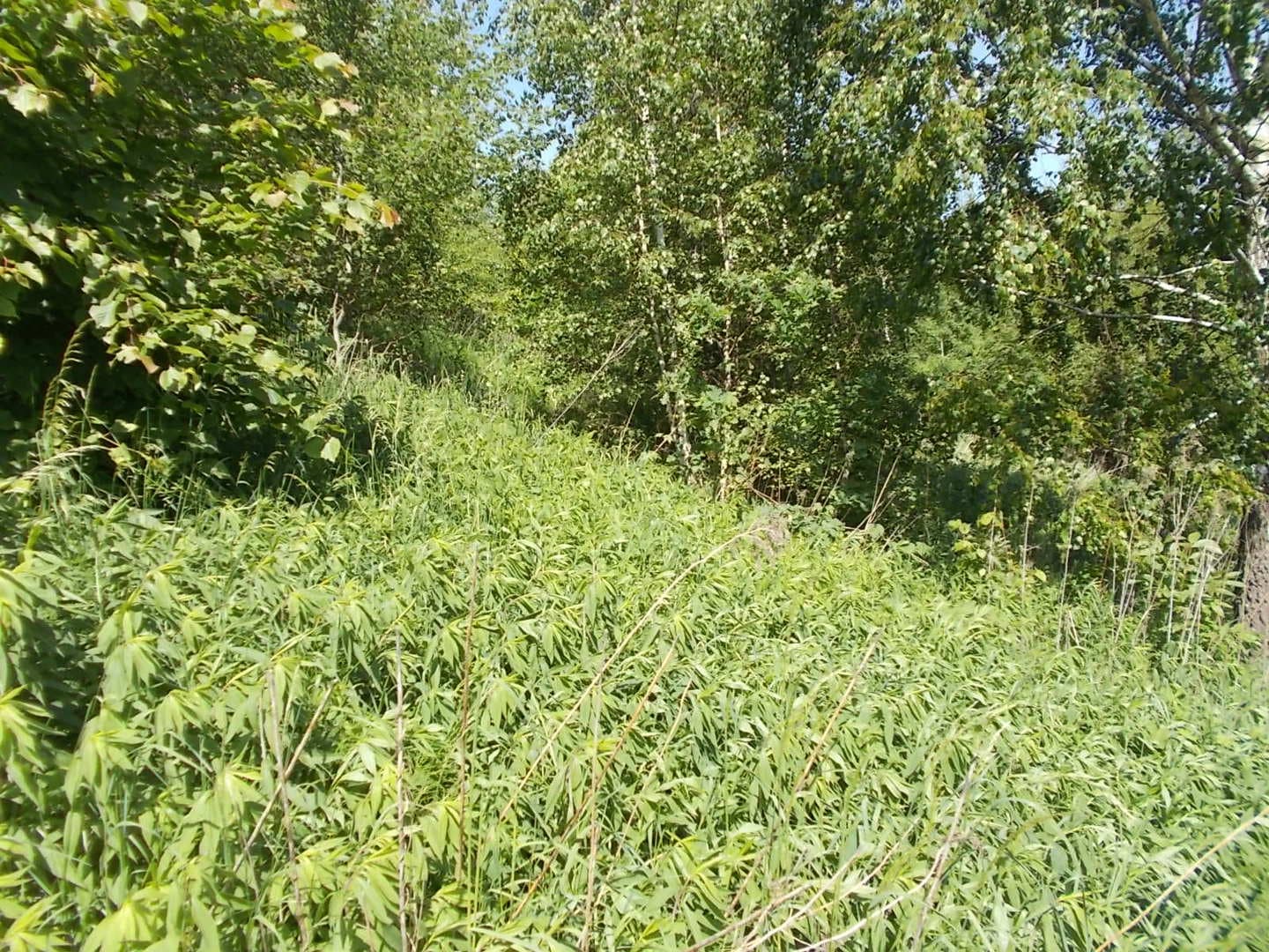 Nieruchomosc niezabudowana obj. RZ1R/00038889/0 oznaczonej jako dz nr 2117/4 o pow. 10720 m2