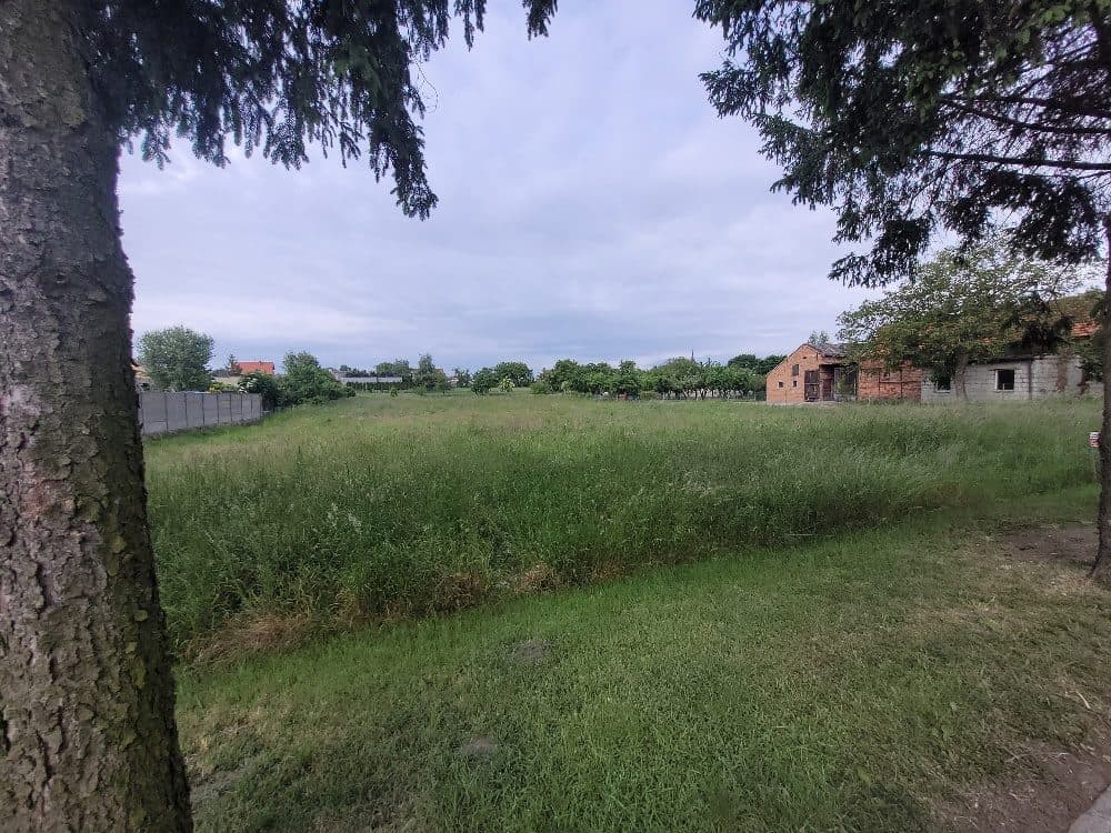 nieruchomość gruntowa niezabudowana – zdjęcie 5 z 6