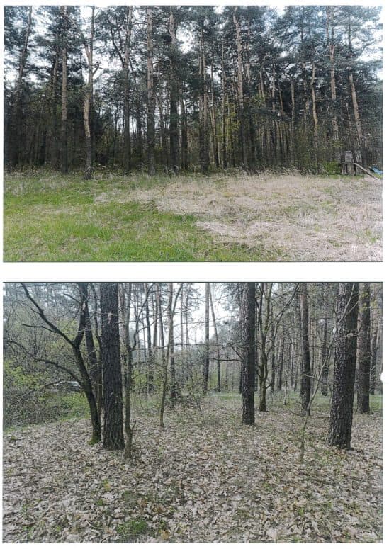 Nieruchomość gruntowa, położona w Tychach (obręb Cielmice) – zdjęcie 4 z 5