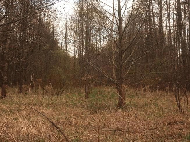 ZNIESIENIE WSPÓŁWŁASNOŚCI NIERUCHOMOŚCI NIEPOSIADAJĄCEJ ZAŁOŻONEJ KSIĘGI WIECZYSTEJ – zdjęcie 5 z 7