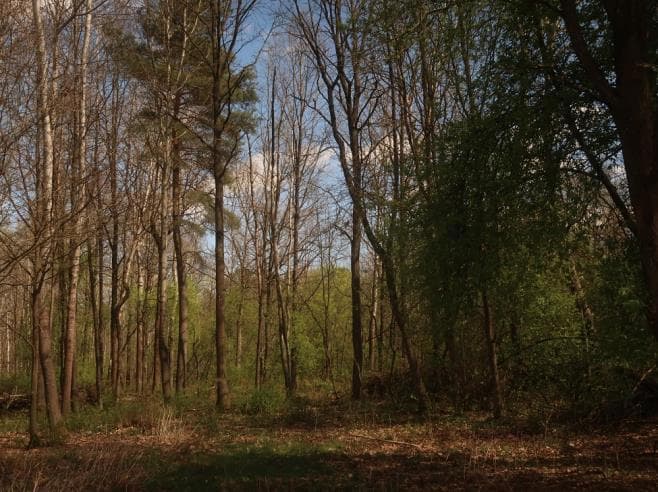 ZNIESIENIE WSPÓŁWŁASNOŚCI NIERUCHOMOŚCI NIEPOSIADAJĄCEJ ZAŁOŻONEJ KSIĘGI WIECZYSTEJ – zdjęcie 7 z 7